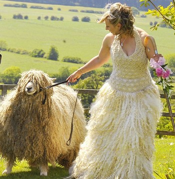 Shepherdess and her Sheep